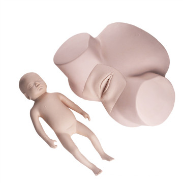 Gynecology Nursing Baby Delivery Modelo de Práctica de Obstetricia